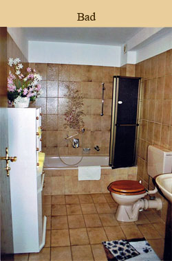 Badezimmer mit Badewanne und Dusche